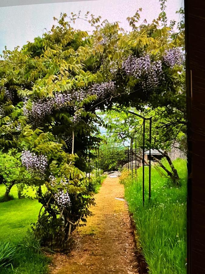 科文Hares Hideaway At Coed Moelfa住宿加早餐旅馆 外观 照片
