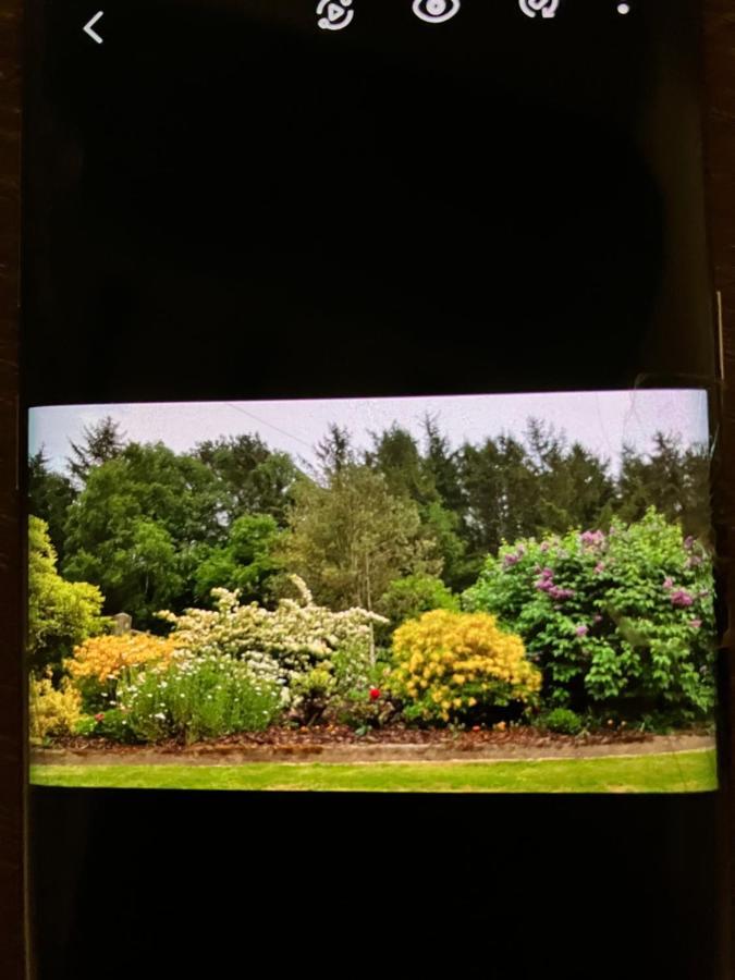 科文Hares Hideaway At Coed Moelfa住宿加早餐旅馆 外观 照片