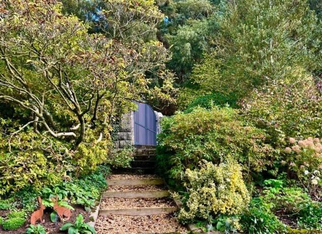 科文Hares Hideaway At Coed Moelfa住宿加早餐旅馆 外观 照片
