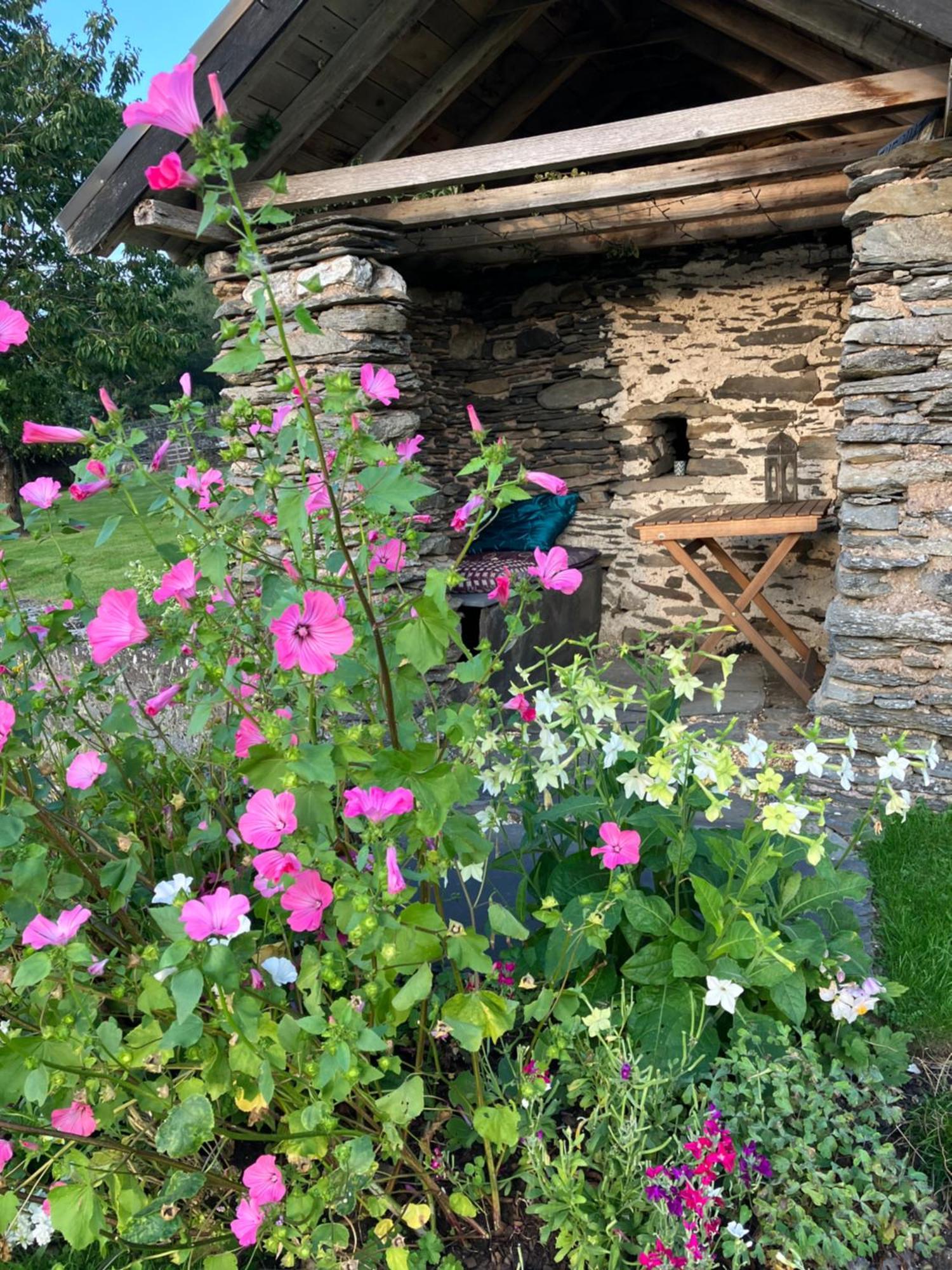 科文Hares Hideaway At Coed Moelfa住宿加早餐旅馆 外观 照片